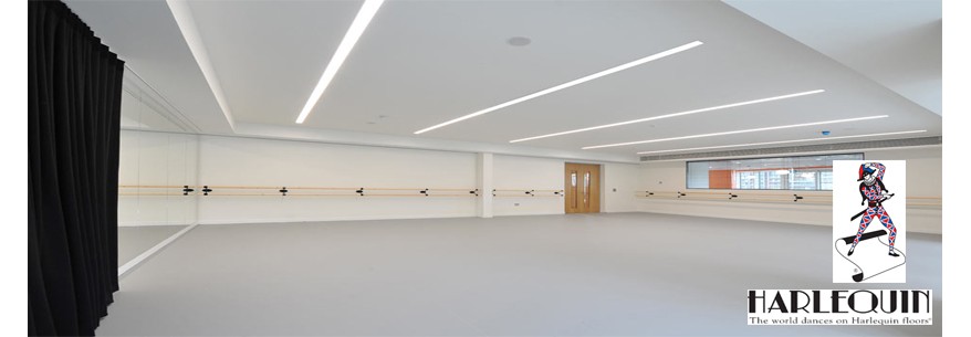 Harlequin STUDIO